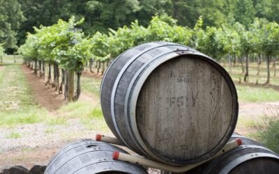 5 Long Island Vineyards to Visit this Summer