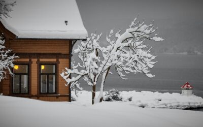 Tips for Working on Your Curb Appeal This Winter